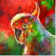 Cockatoo II